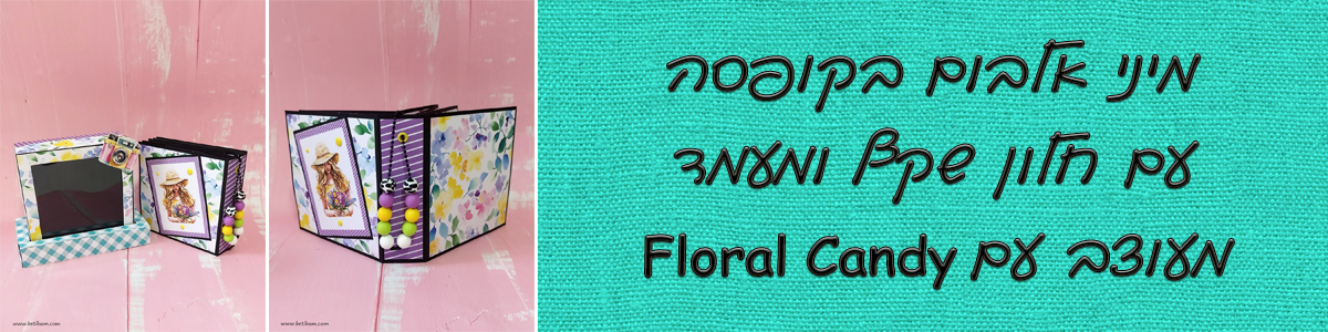 מיני אלבום בקופסה עם חלון שקף ומעמד