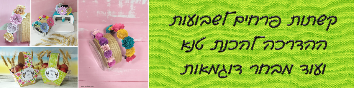חג השבועות 2025 - הדרכות ורעיונות